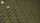 2D Icons - Military Item
